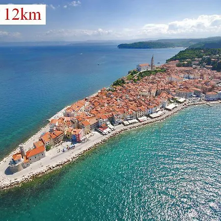 Apartmaji In Vinogradnistvo Klobas Sečovlje