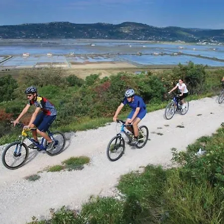 Apartamento Apartmaji In Vinogradnistvo Klobas Sečovlje