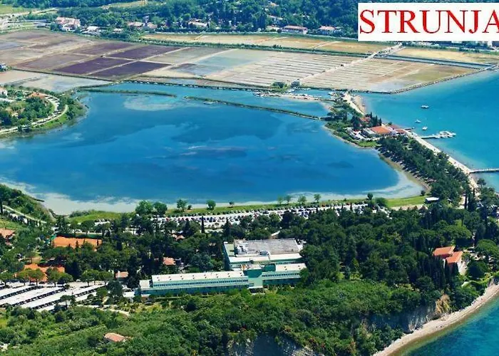 Apartmaji In Vinogradnistvo Klobas Apartamento *