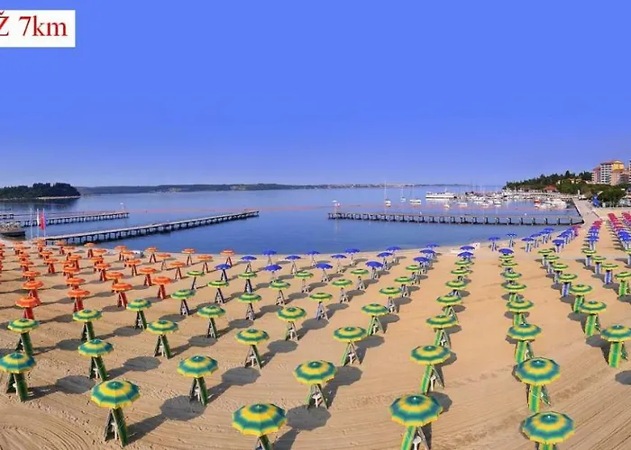 Apartmaji In Vinogradnistvo Klobas