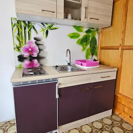 Apartmaji In Vinogradnistvo Klobas Secovlje