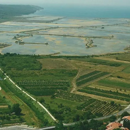 Apartmaji In Vinogradnistvo Klobas דירה