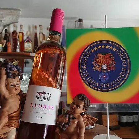 Daire Apartmaji In Vinogradnistvo Klobas Sečovlje