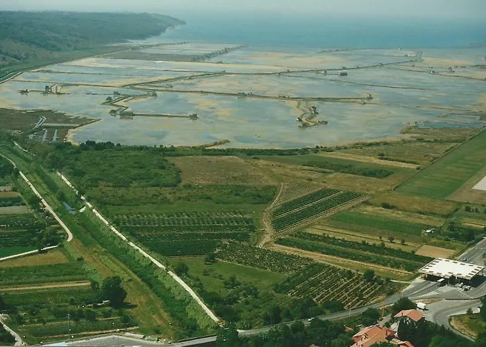 Apartmaji In Vinogradnistvo Klobas דירה