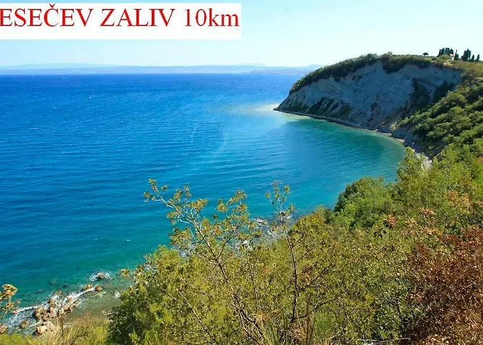 Apartmaji In Vinogradnistvo Klobas דירה Sečovlje