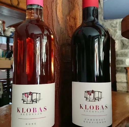 Apartmaji In Vinogradnistvo Klobas דירה